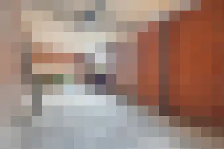 Doarpsstrjitte 14 De Westereen thumbnail 37