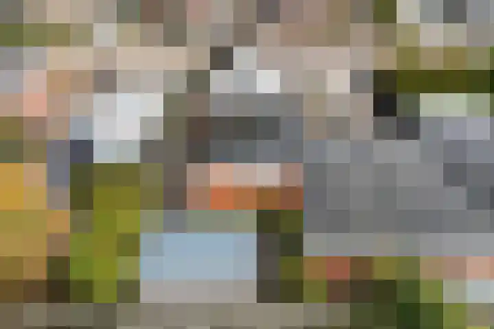 Doarpsstrjitte 14 De Westereen thumbnail 43