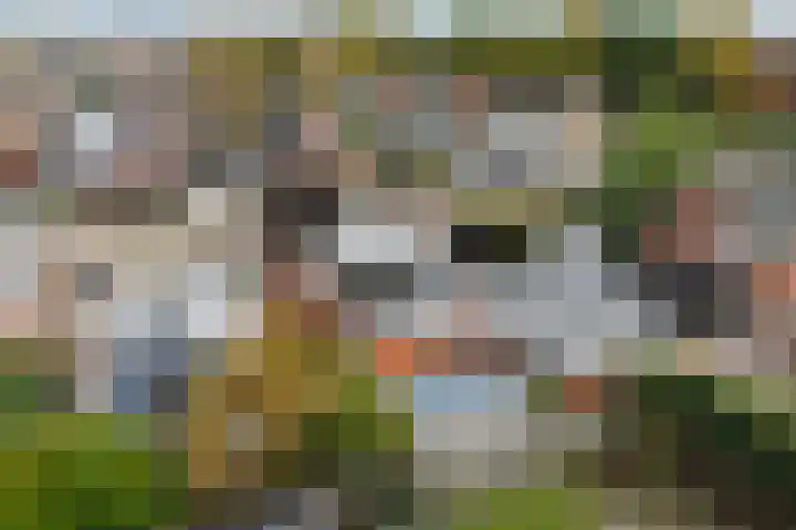 Doarpsstrjitte 14 De Westereen thumbnail 44