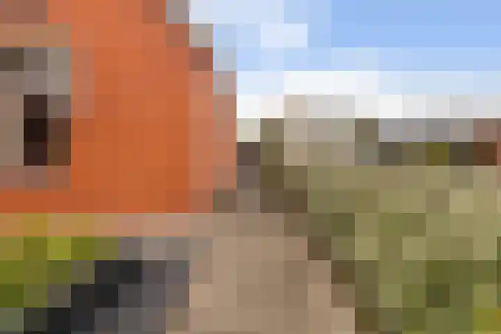 Doarpsstrjitte 14 De Westereen thumbnail 5