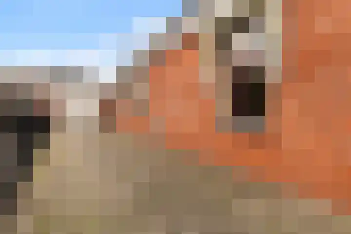 Doarpsstrjitte 14 De Westereen thumbnail 7
