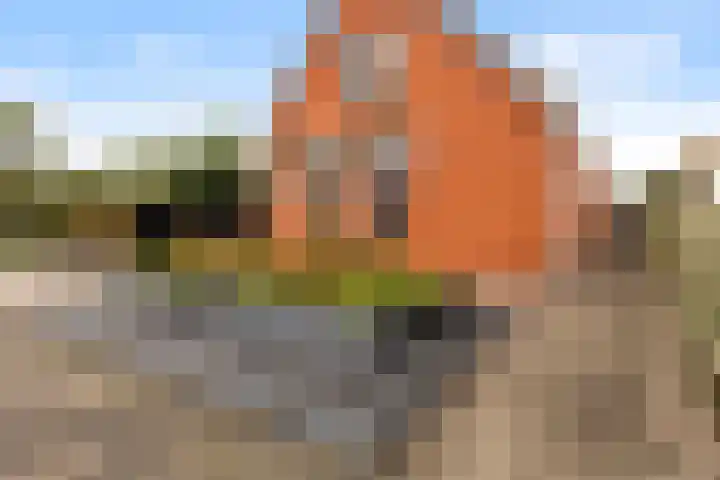 Doarpsstrjitte 14 De Westereen thumbnail 8