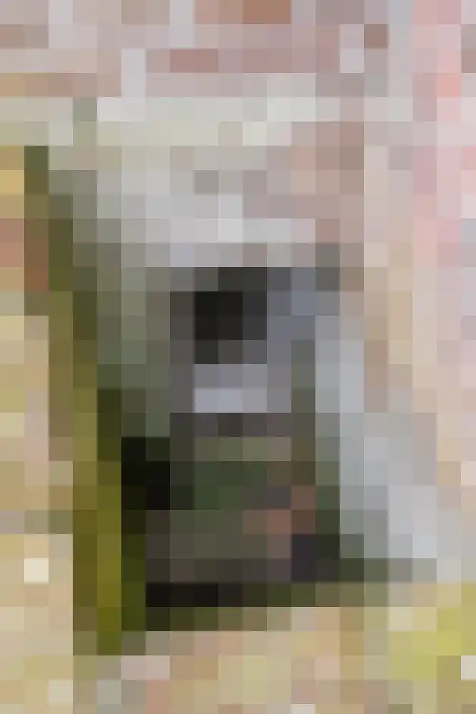 Doarpsstrjitte 28 Nij Beets thumbnail 32