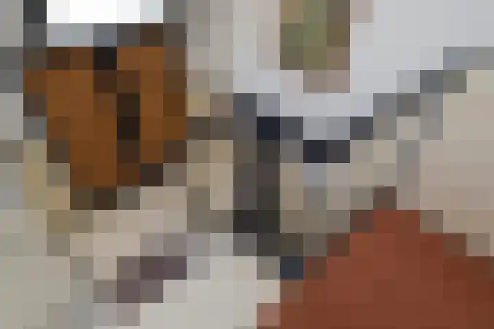 Doarpsstrjitte 28 Nij Beets thumbnail 41