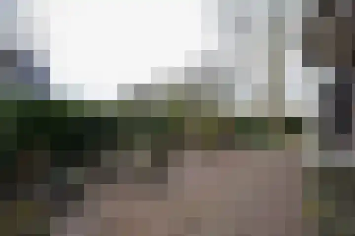 Doarpsstrjitte 28 Nij Beets thumbnail 67