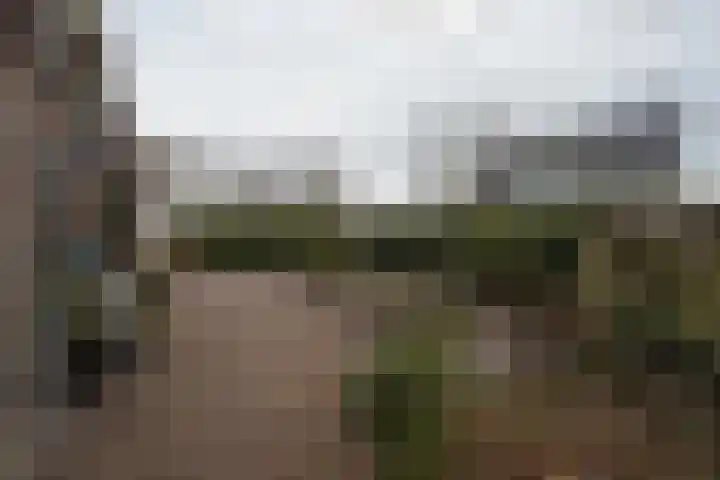 Doarpsstrjitte 28 Nij Beets thumbnail 68