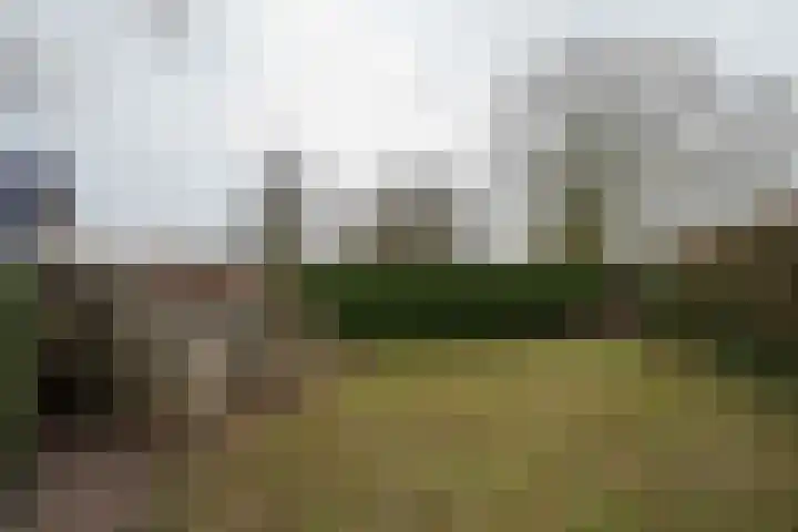 Doarpsstrjitte 28 Nij Beets thumbnail 70