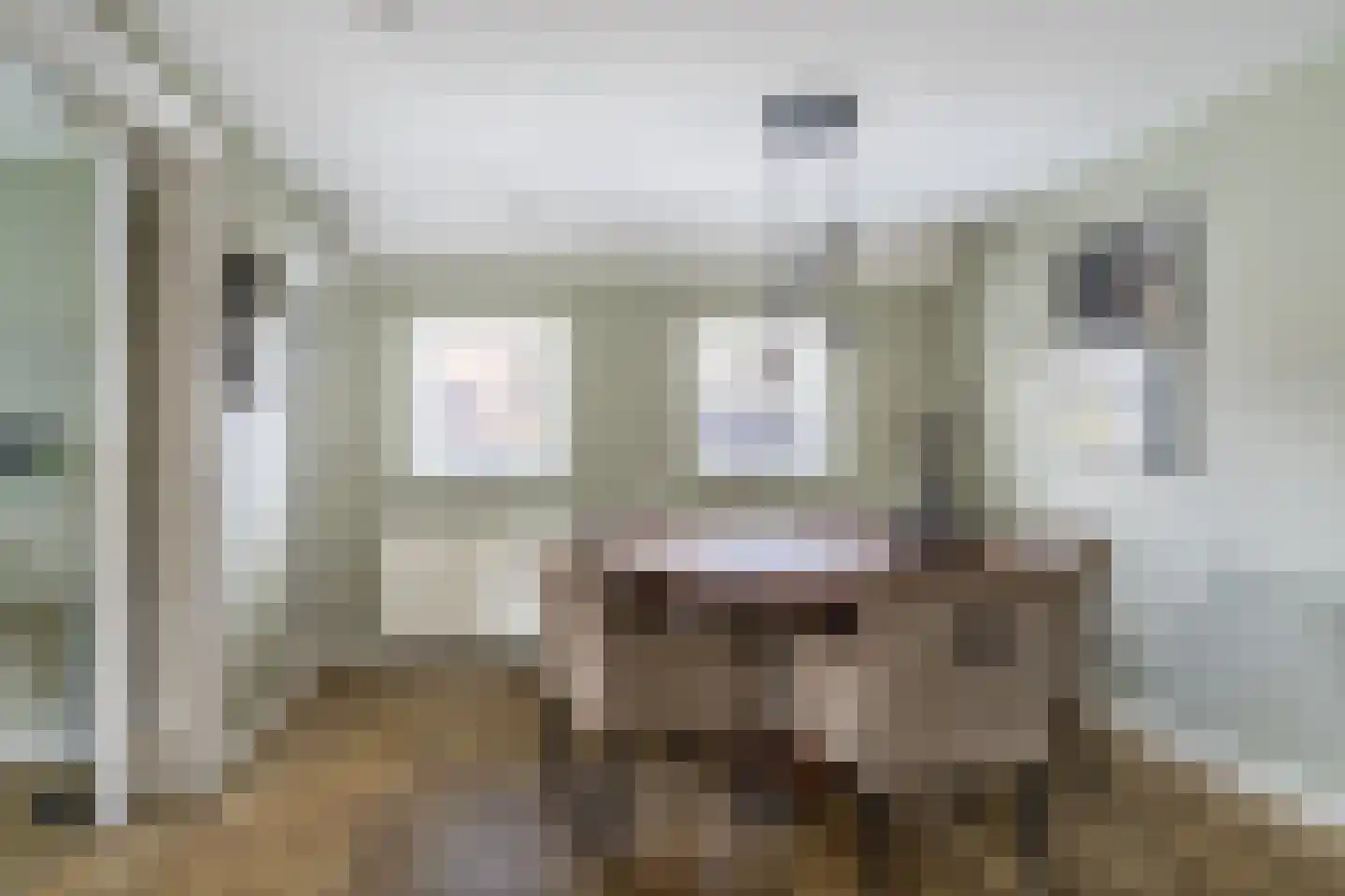 Doarpsstrjitte 4 De Westereen thumbnail 17