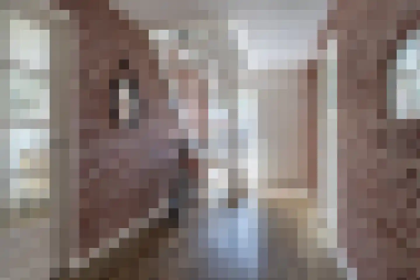 Doarpsstrjitte 4 De Westereen thumbnail 28
