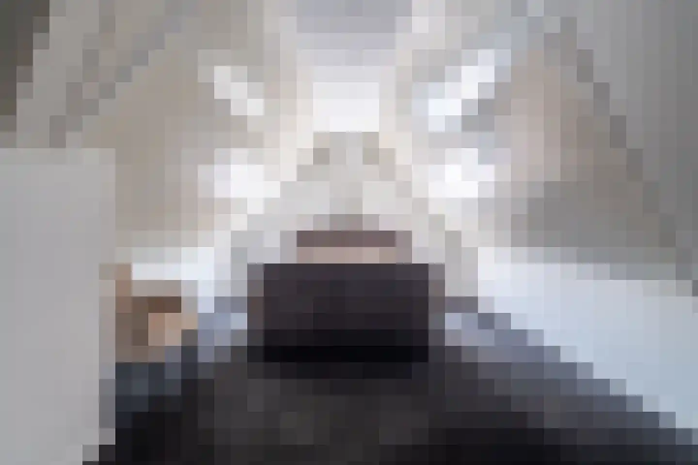 Doarpsstrjitte 4 De Westereen thumbnail 31