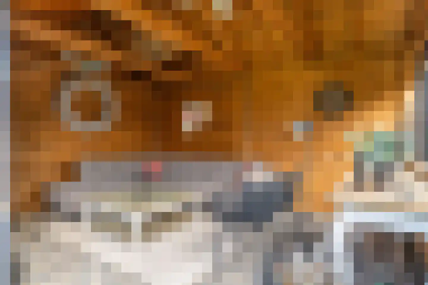 Doarpsstrjitte 4 De Westereen thumbnail 41