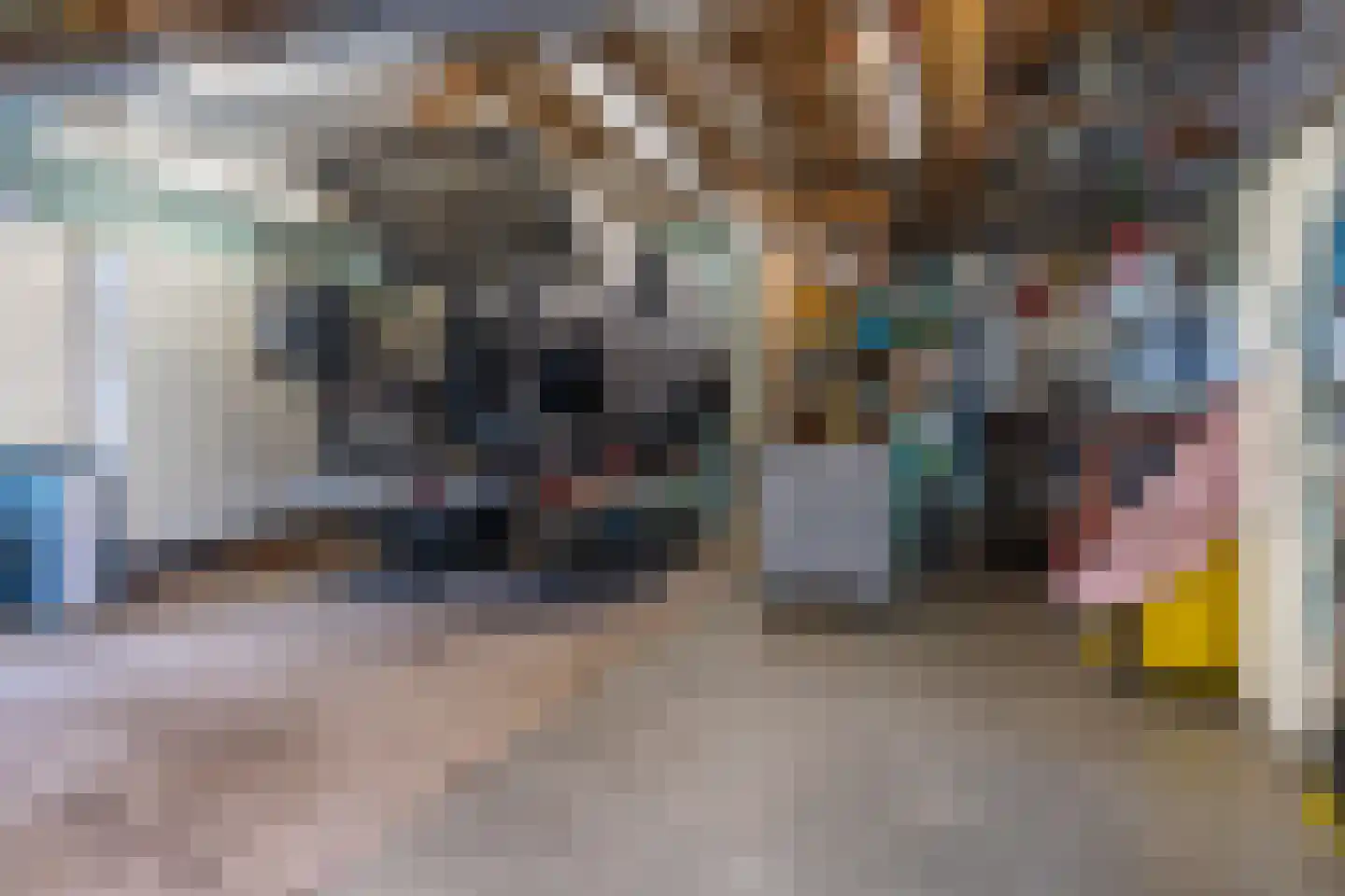 Doarpsstrjitte 4 De Westereen thumbnail 45