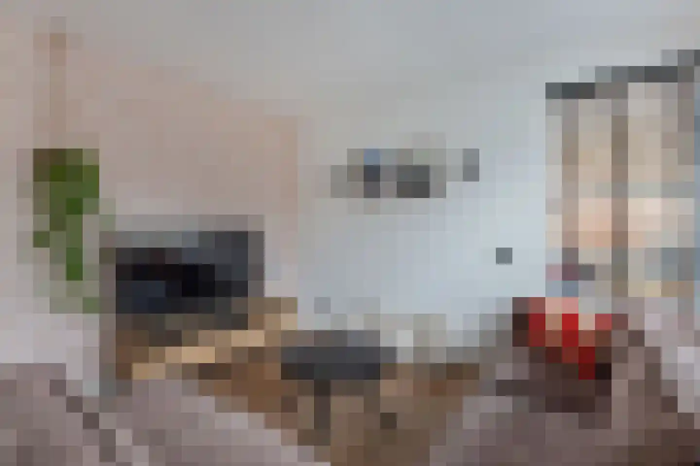 Doarpsstrjitte 40 Easterwierrum thumbnail 13