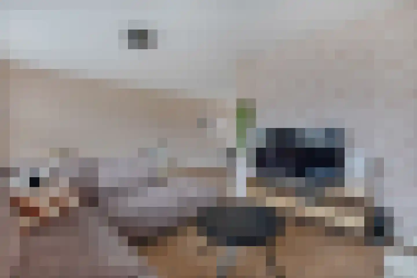 Doarpsstrjitte 40 Easterwierrum thumbnail 15