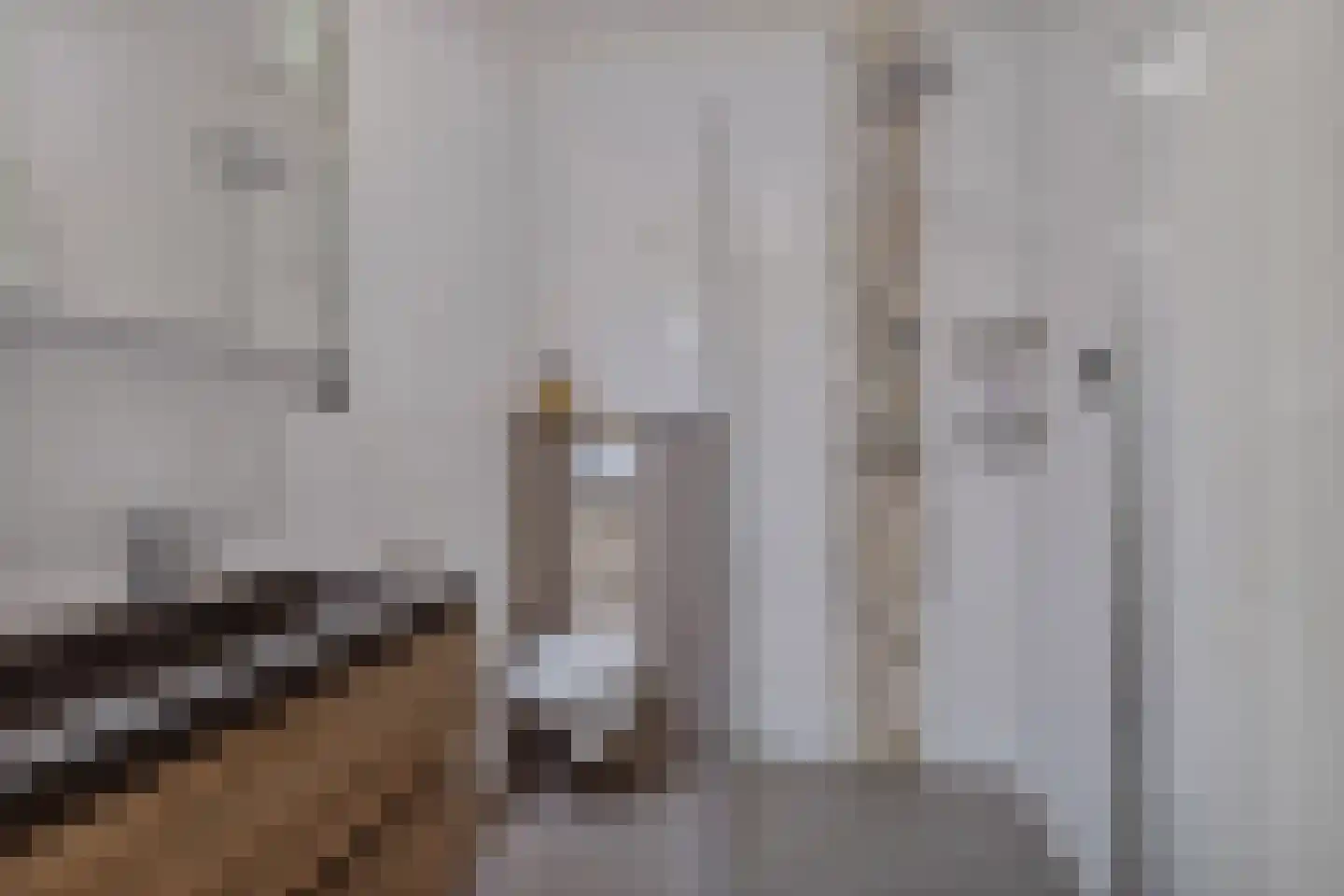 Doarpsstrjitte 40 Easterwierrum thumbnail 31