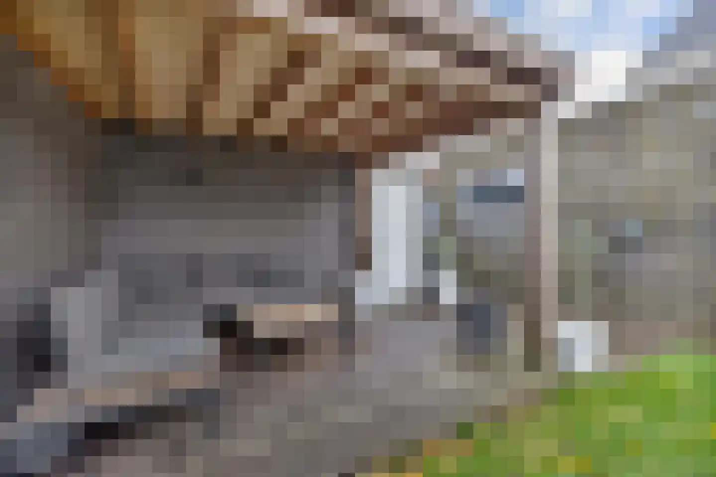 Doarpsstrjitte 40 Easterwierrum thumbnail 37