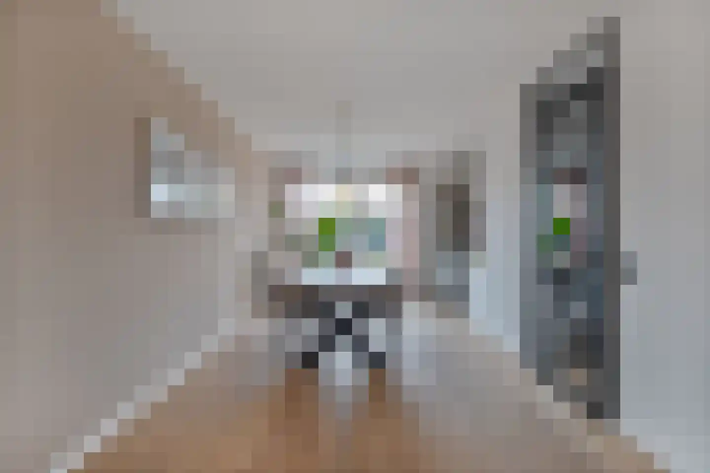 Doarpsstrjitte 40 Easterwierrum thumbnail 4