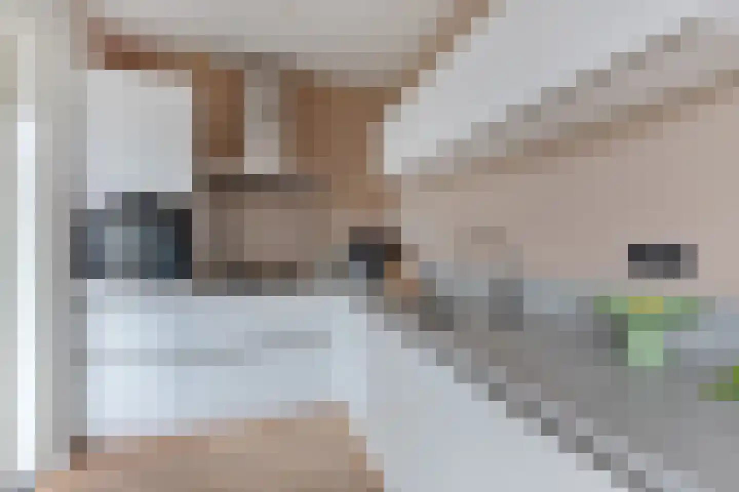 Doarpsstrjitte 40 Easterwierrum thumbnail 5