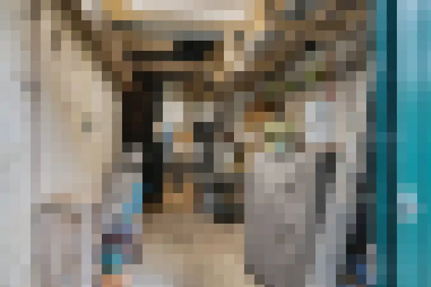 Doarpswei 16 Greonterp thumbnail 31