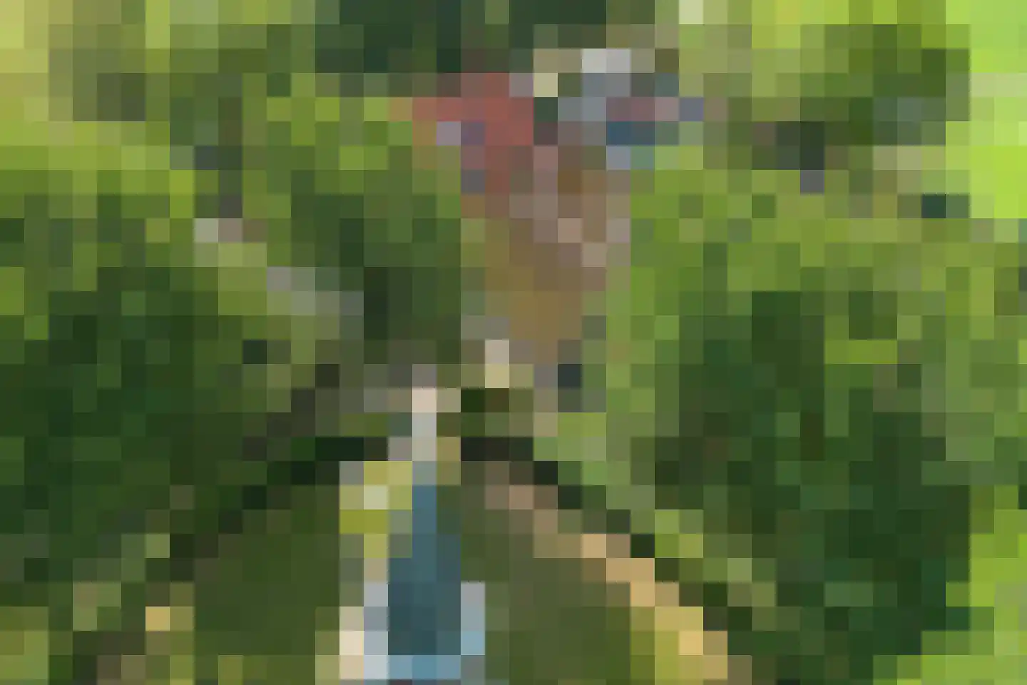 Doarpswei 16 Greonterp thumbnail 41