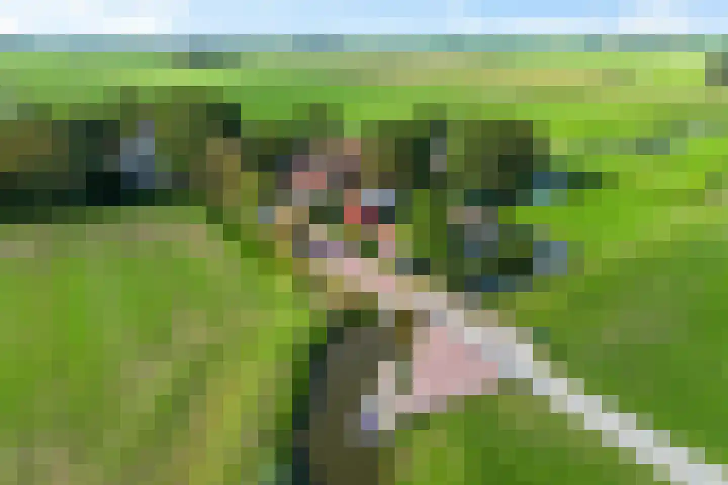 Doarpswei 16 Greonterp thumbnail 43