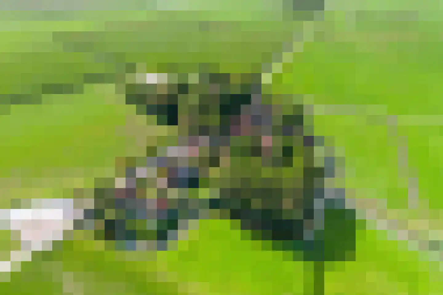 Doarpswei 16 Greonterp thumbnail 45