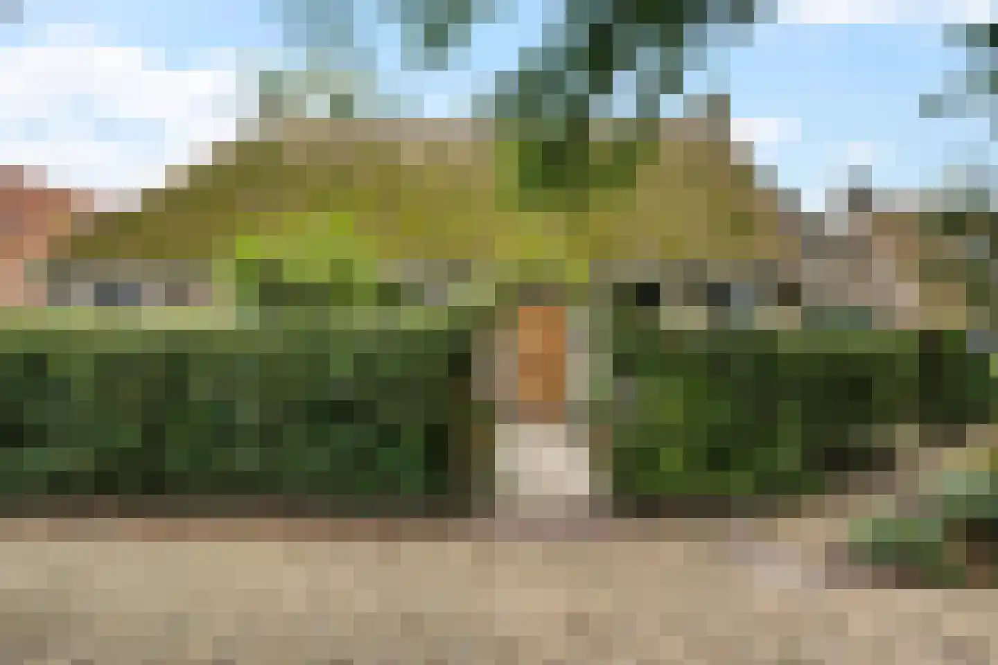 Doarpswei 16 Greonterp thumbnail 47