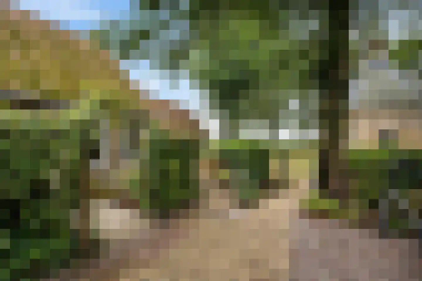 Doarpswei 16 Greonterp thumbnail 6