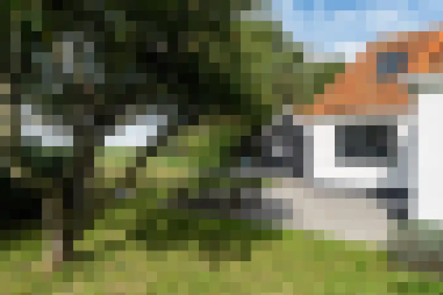 Doarpswei 26 Greonterp thumbnail 10