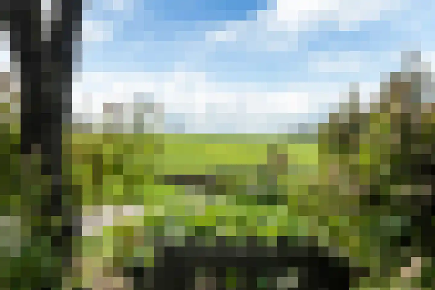 Doarpswei 26 Greonterp thumbnail 14