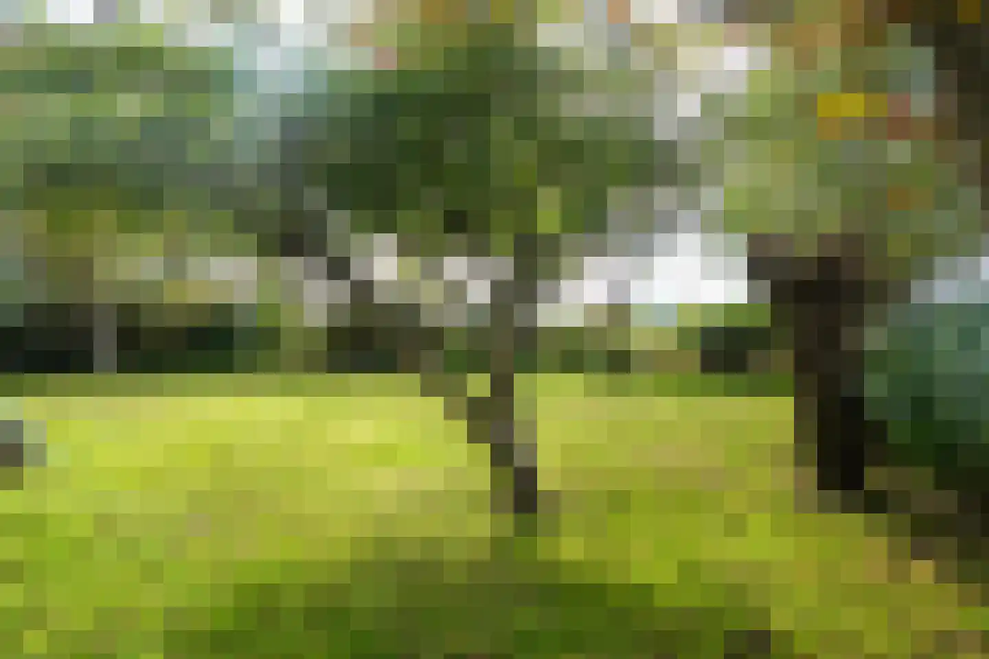 Doarpswei 26 Greonterp thumbnail 17