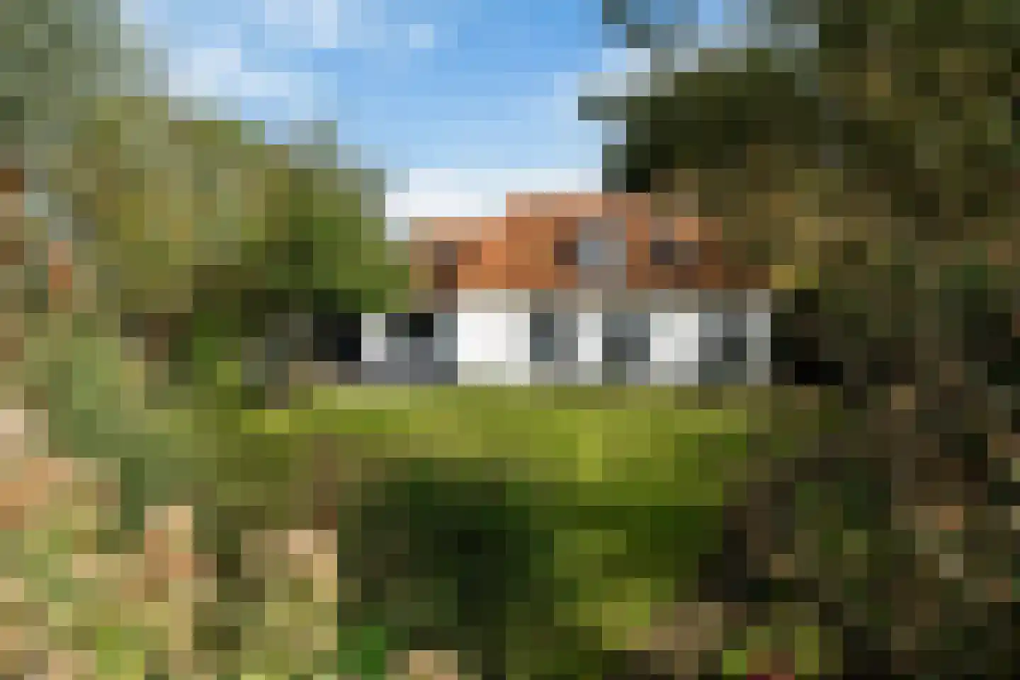 Doarpswei 26 Greonterp foto 2