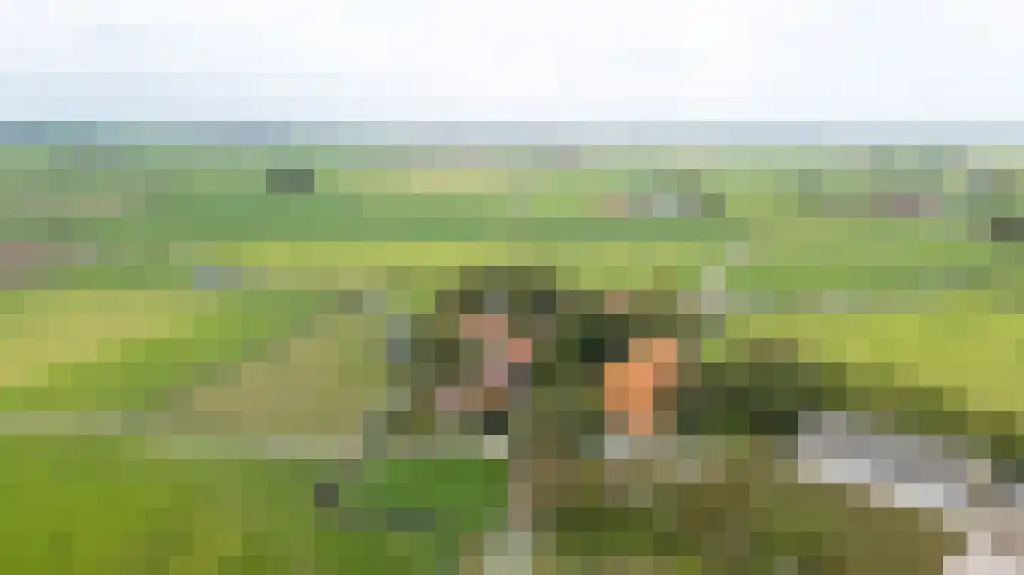 Doarpswei 26 Greonterp thumbnail 56
