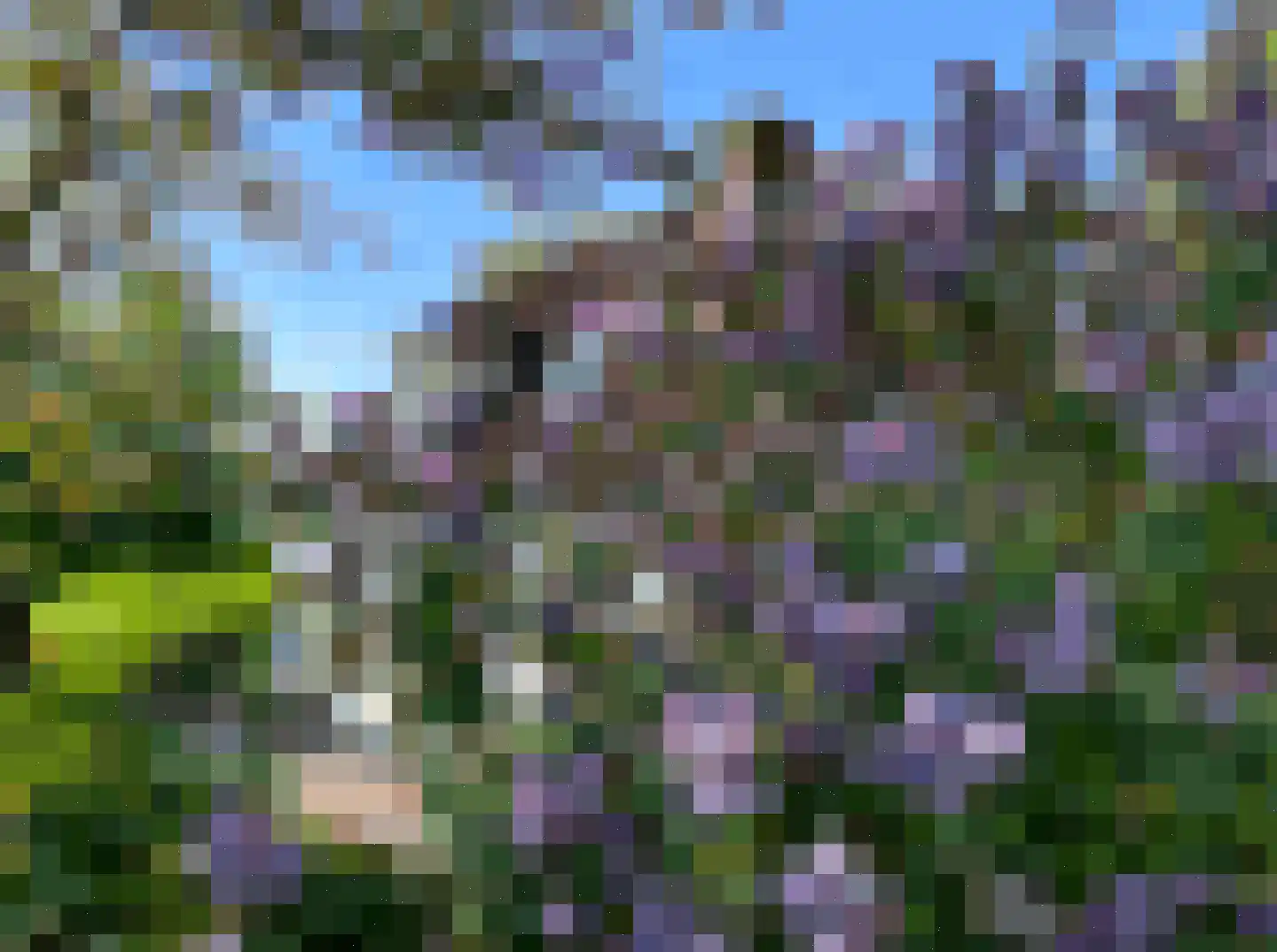 Doarpswei 26 Greonterp thumbnail 63