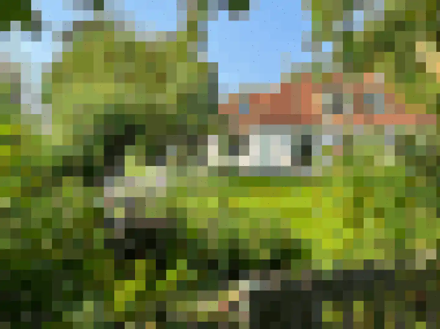 Doarpswei 26 Greonterp thumbnail 64