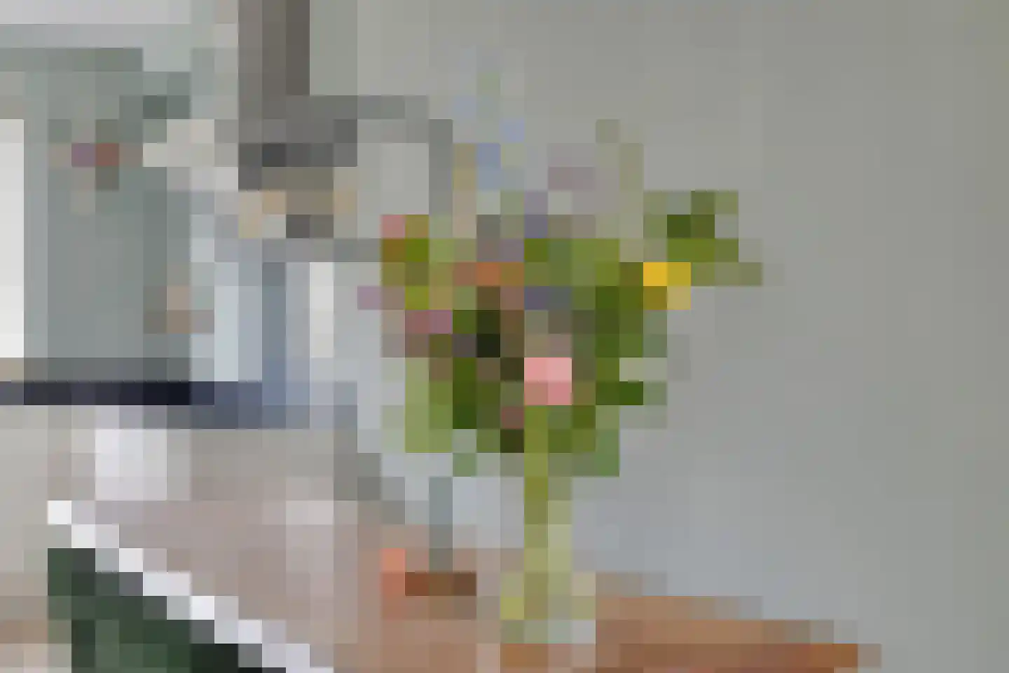 Dobbe 17 Leek thumbnail 10