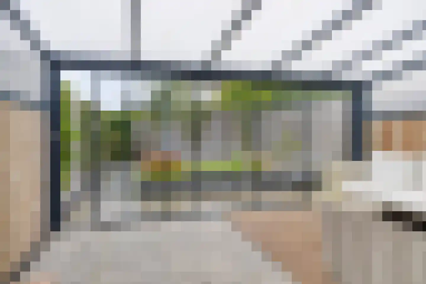 Dobbe 17 Leek thumbnail 17