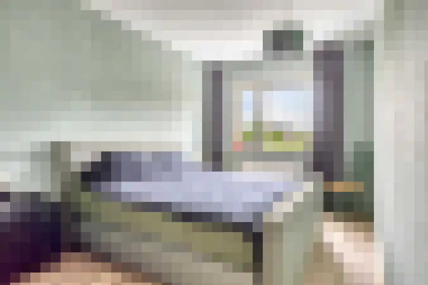 Dobbe 17 Leek thumbnail 21