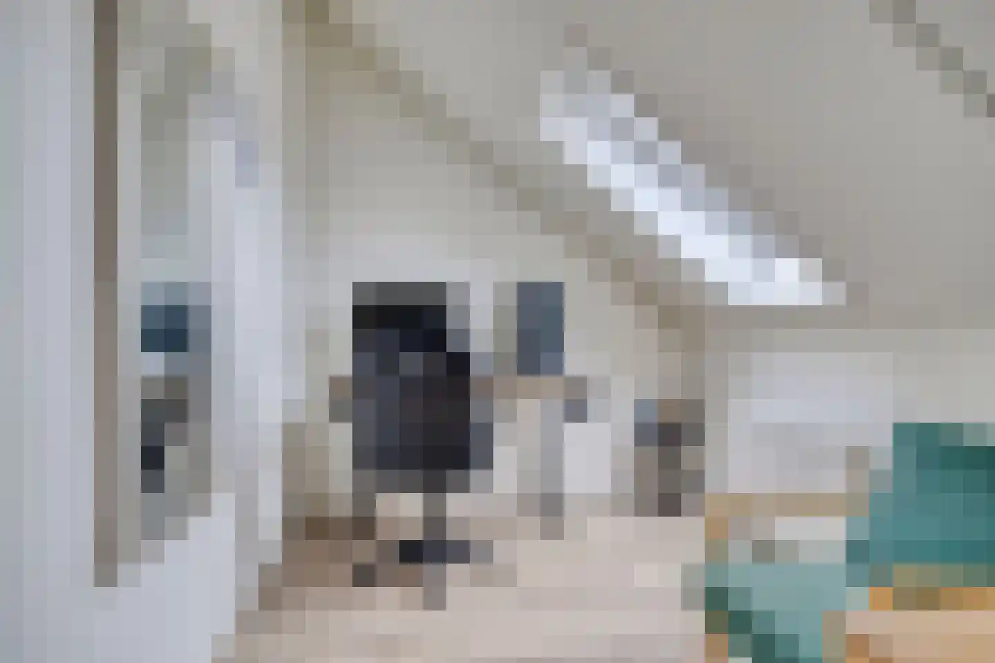 Dobbe 17 Leek thumbnail 29