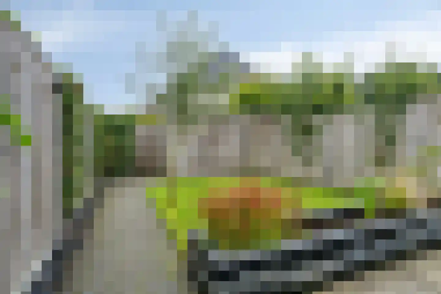 Dobbe 17 Leek thumbnail 35