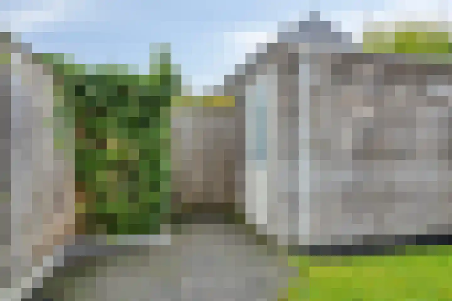Dobbe 17 Leek thumbnail 36