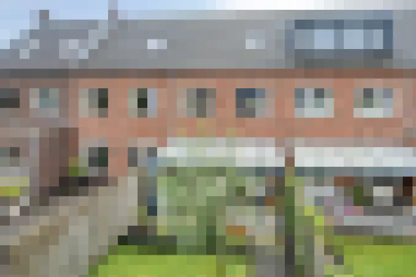 Dobbe 17 Leek thumbnail 37