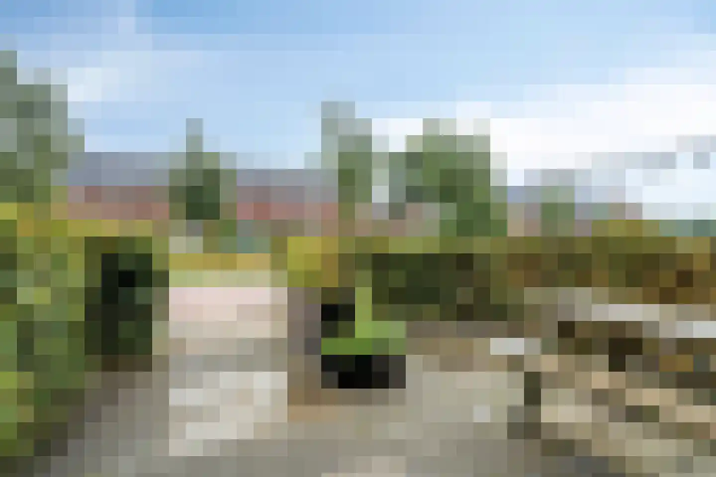 Dobbe 17 Leek thumbnail 38
