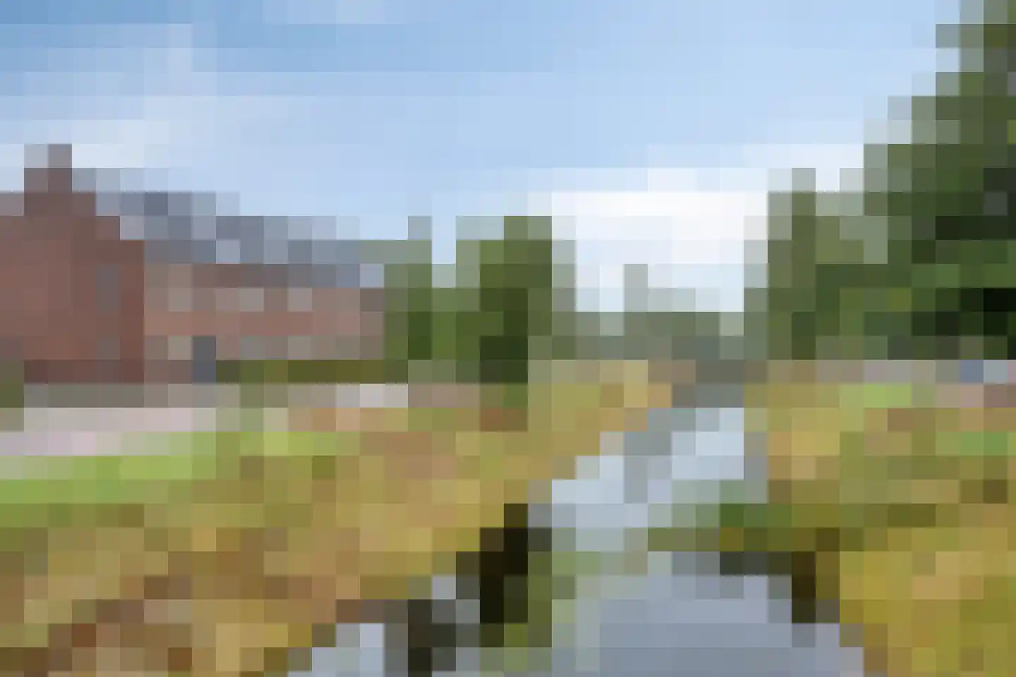 Dobbe 17 Leek thumbnail 39