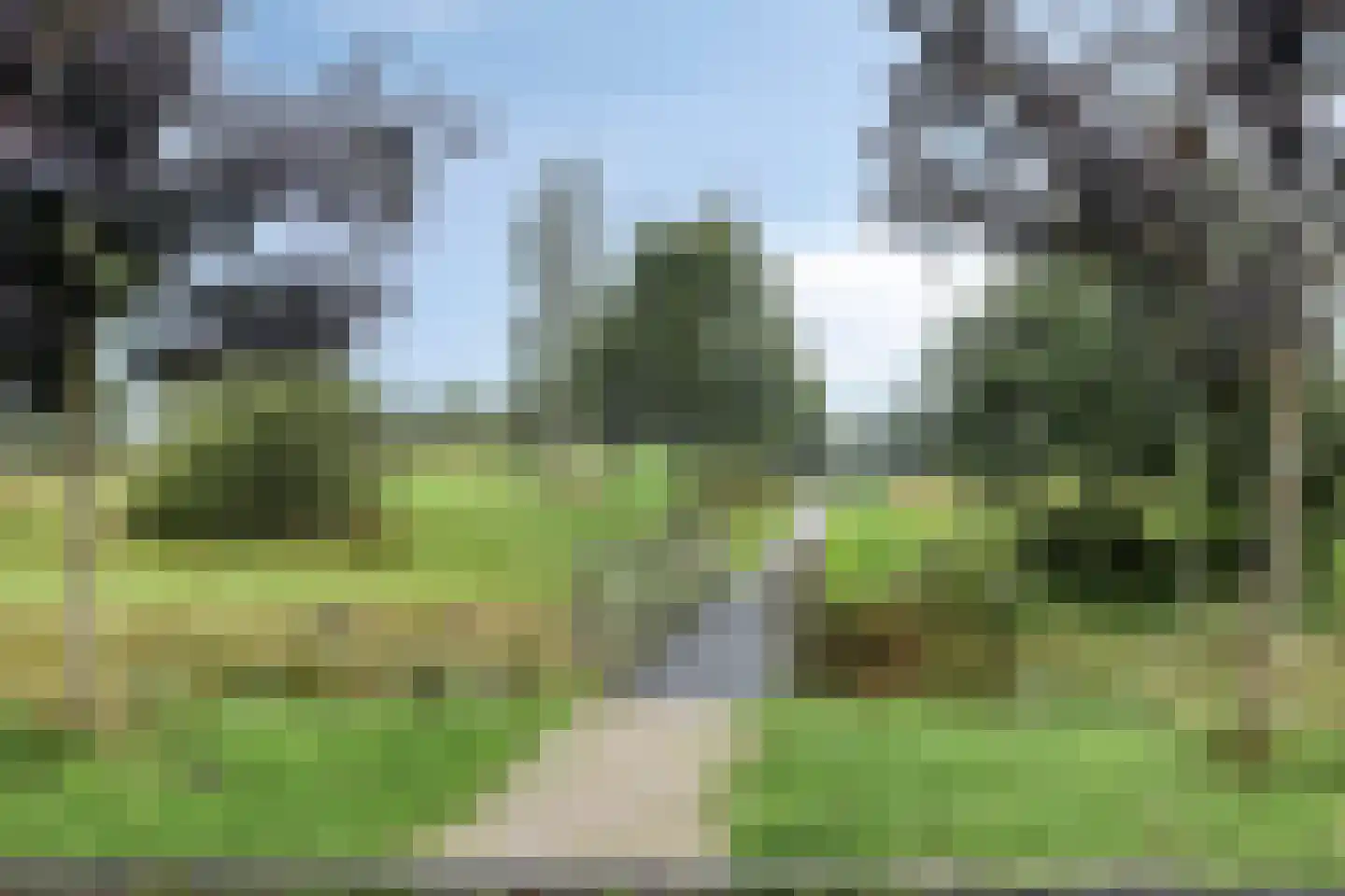 Dobbe 17 Leek thumbnail 41