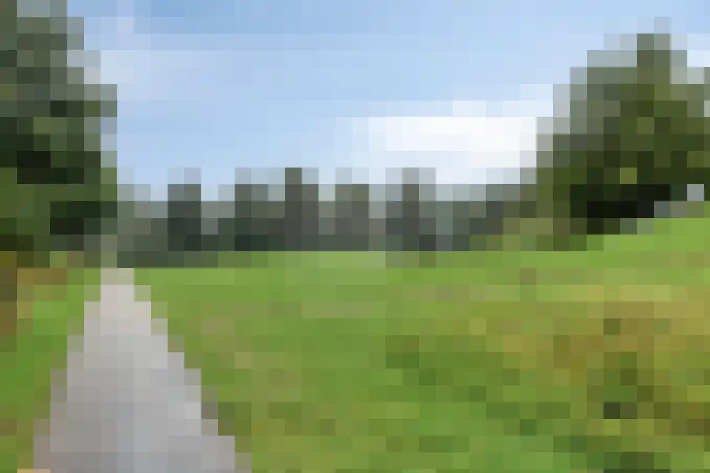 Dobbe 17 Leek thumbnail 42