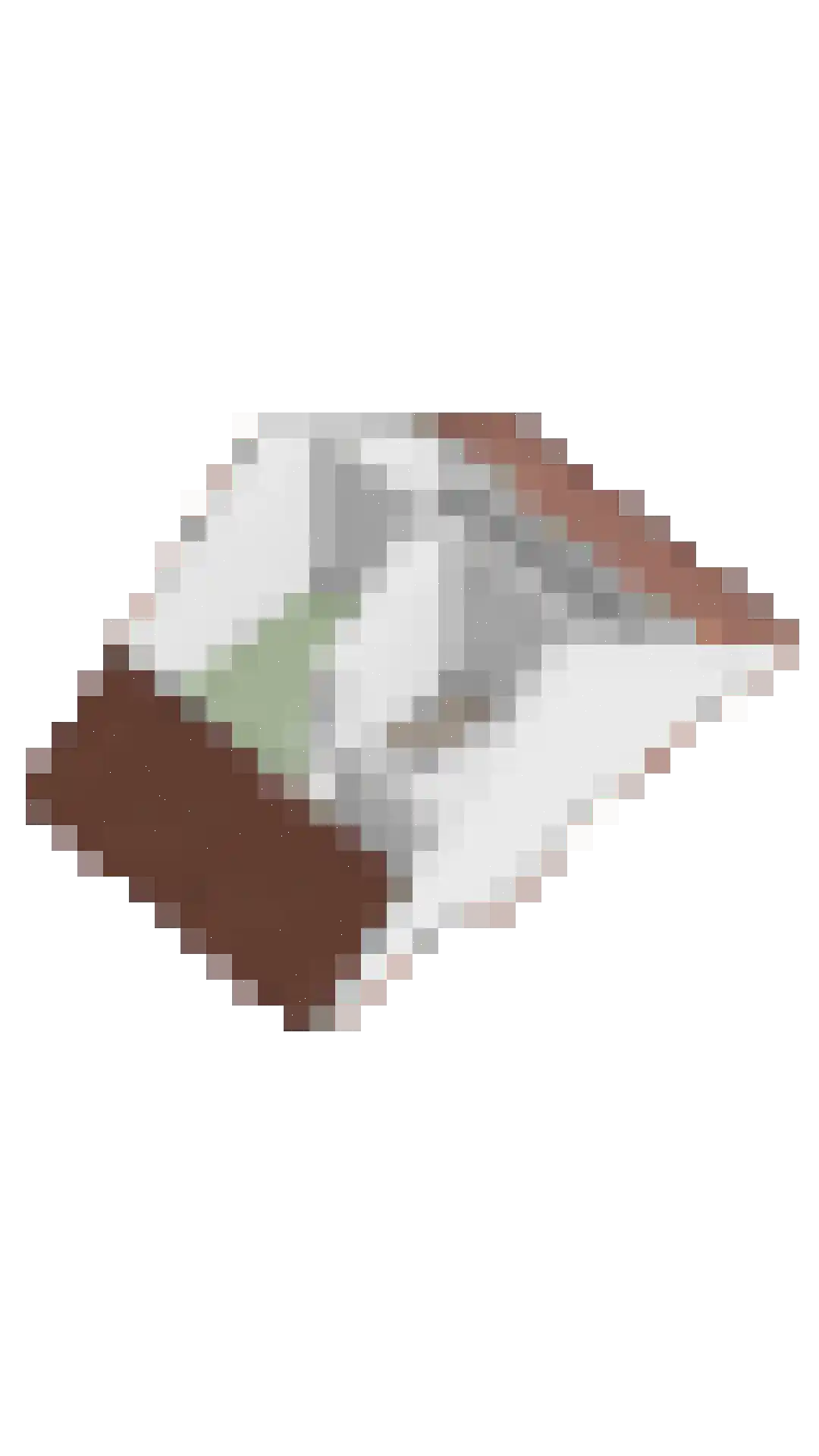 Dobbe 17 Leek thumbnail 52