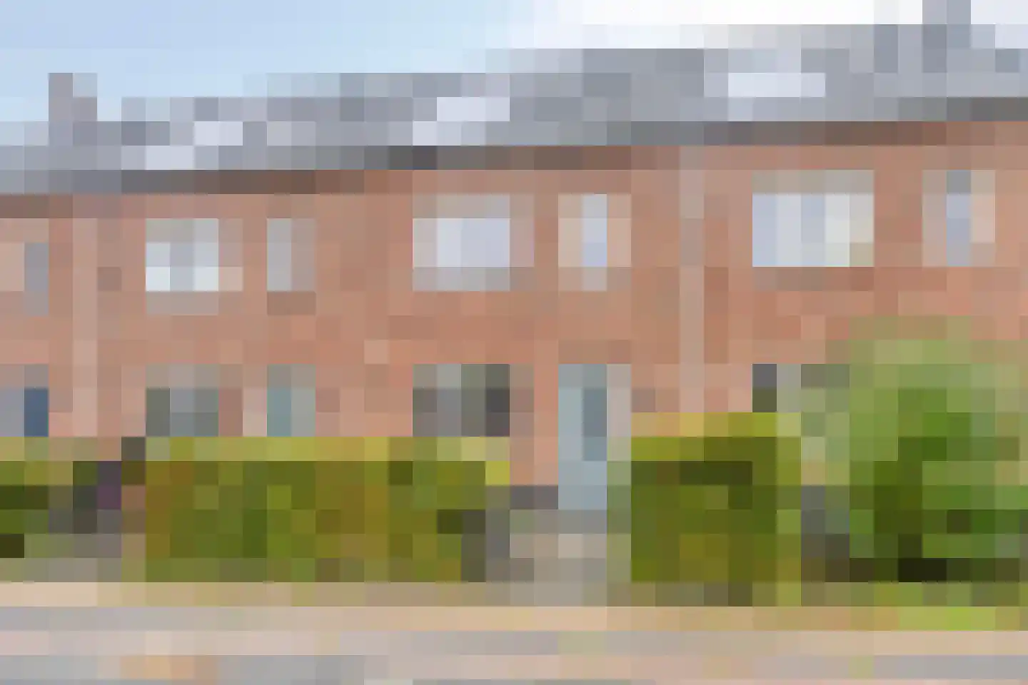 Dobbe 17 Leek thumbnail 7