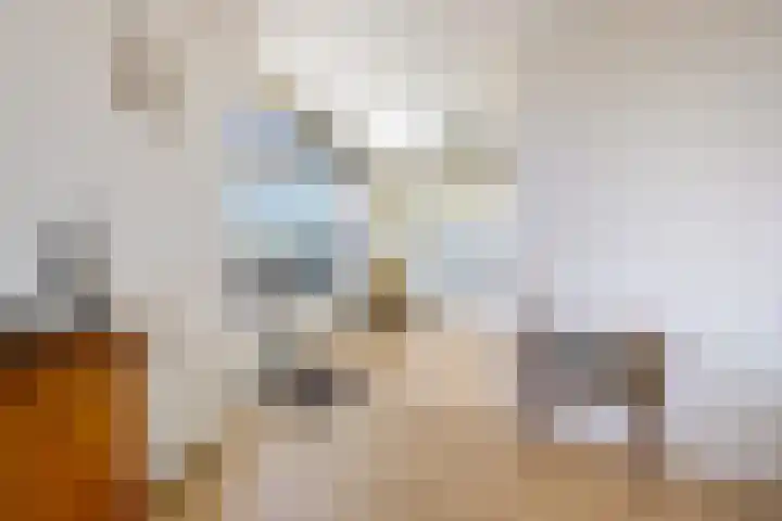 Dobbe 19 Stiens thumbnail 16