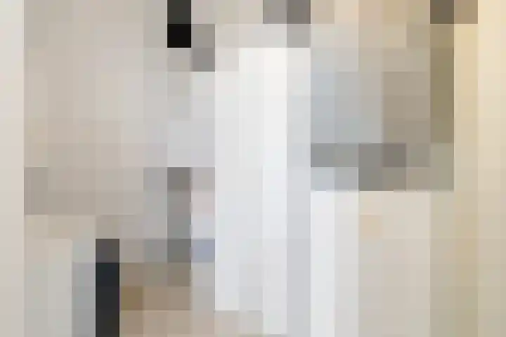 Dobbe 19 Stiens thumbnail 26